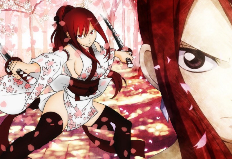 Постер Fairy Tail