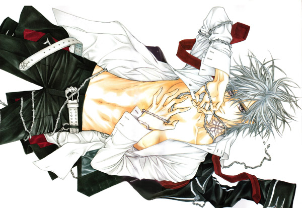 Постер Vampire Knight