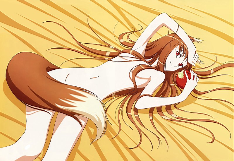 Постер Spice and Wolf