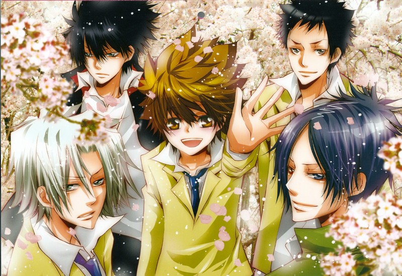 Постер Katekyo Hitman Reborn
