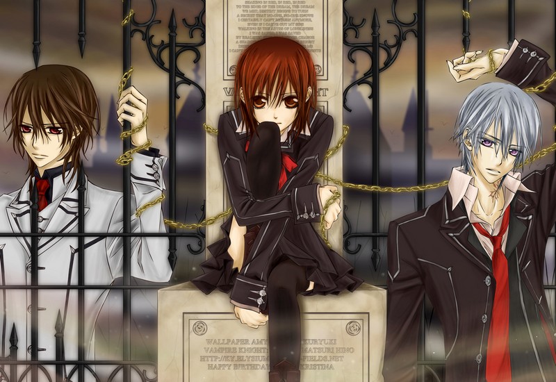 Постер Vampire Knight