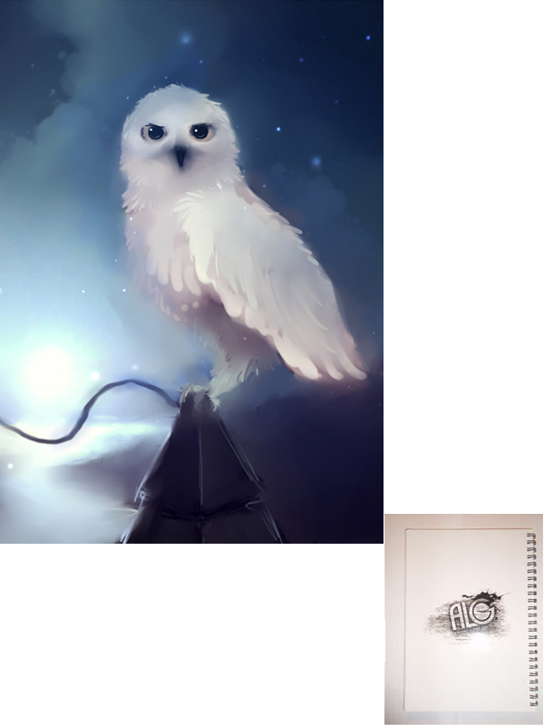 Kawaii Animals тетрадь на пружине