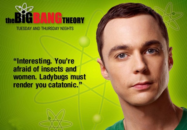 Обложка The Big Bang Theory