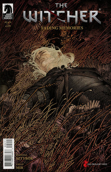 The Witcher. Fading Memories #2 Cover A Regular Evan Cagle Cover