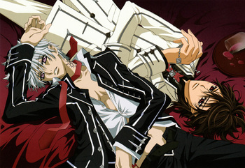 Постер Vampire Knight