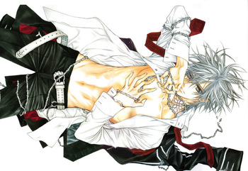 Постер Vampire Knight