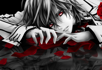 Постер Vampire Knight