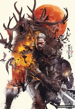 Постер Witcher