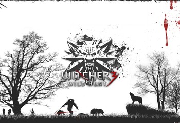 Постер Witcher