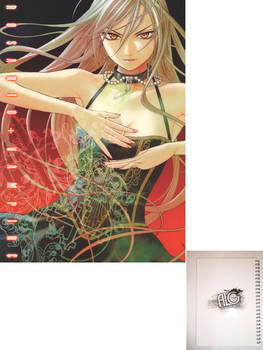 Rosario + Vampire тетрадь на пружине