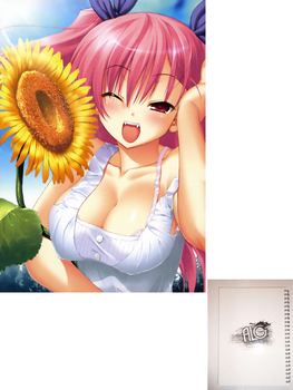 Anime тетрадь на пружине