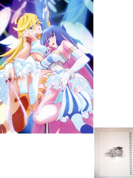Panty & Stocking тетрадь на пружине
