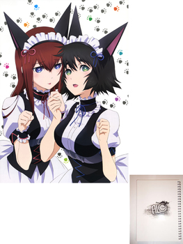 Steins Gate тетрадь на пружине
