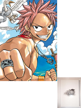 Fairy Tail тетрадь на пружине