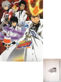 Katekyo Hitman Reborn тетрадь на пружине