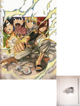 Fairy Tail тетрадь на пружине