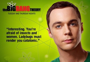 Обложка The Big Bang Theory