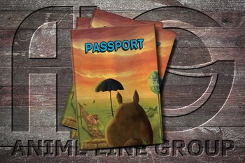 Обложка Totoro
