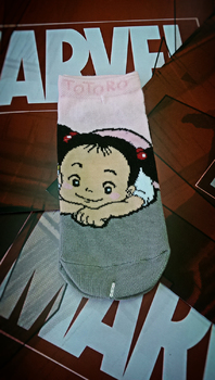 Носки Totoro