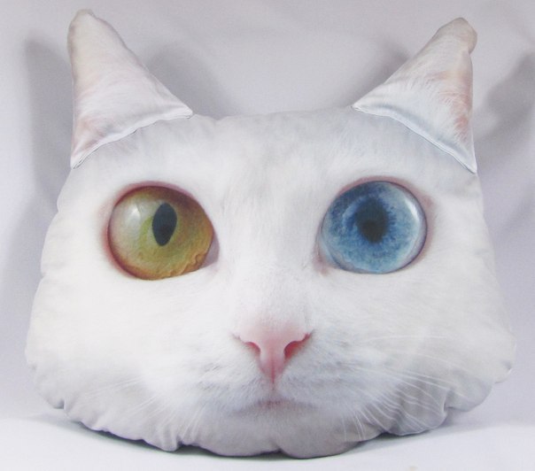 Cat подушка
