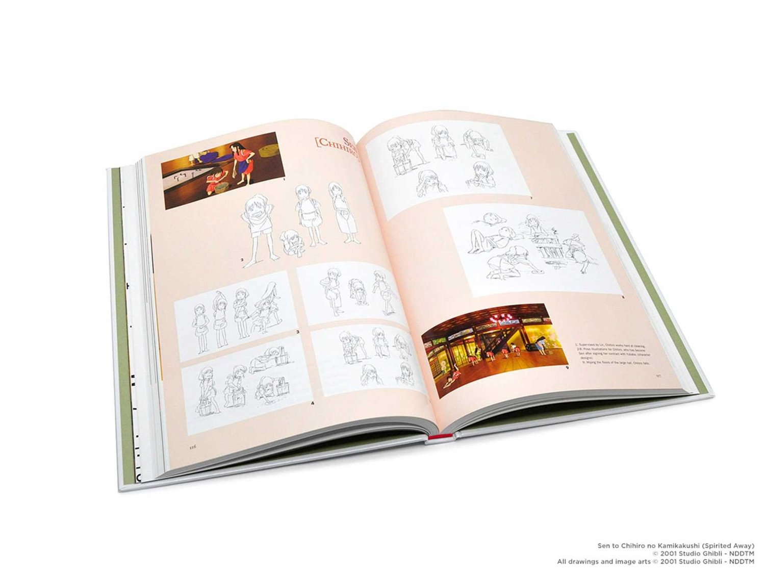 The Art of Miyazaki's Spirited Away HC