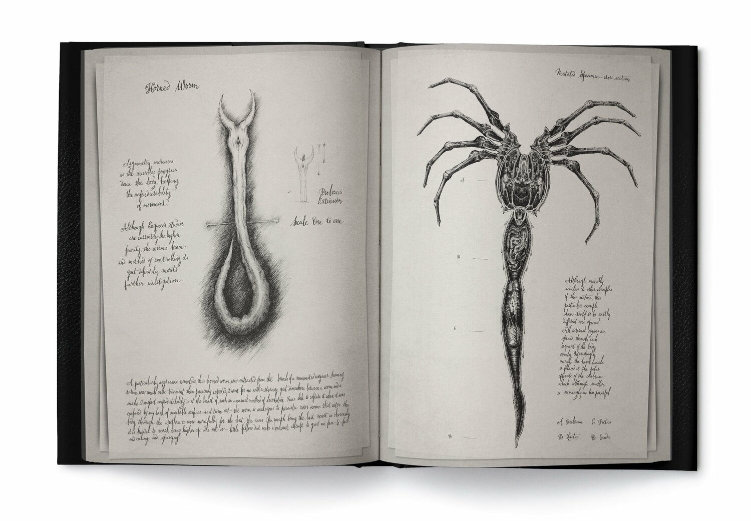 Alien Covenant: David's Drawings HC