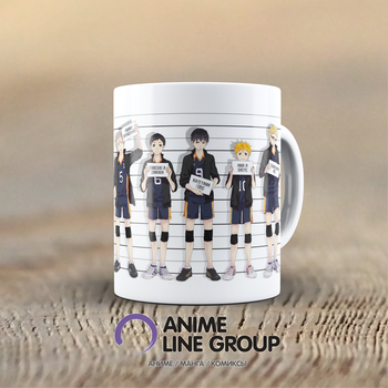 Чашка Haikyuu!! | HQ!!