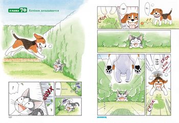 Милий дім Чі. Книга 4