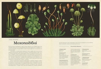Ботанікум