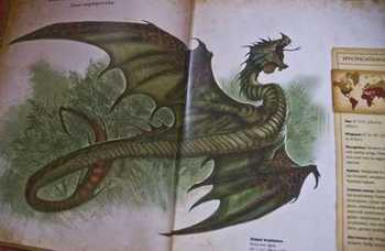 Dracopedia. A Guide to Drawing the Dragons of the World HC (УЦІНКА)