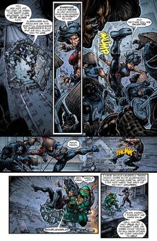 Batman / Teenage Mutant Ninja Turtles II HC