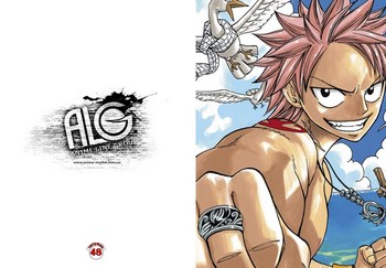 Fairy Tail зошит на скобі