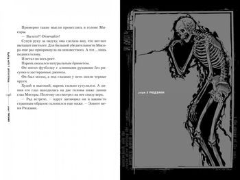 Ранобе Зошит смерті. Death Note. Інший зошит. Справа про серійні вбивства B.B. в Лос-Анджелесі