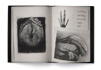 Alien Covenant: David's Drawings HC