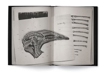Alien Covenant: David's Drawings HC