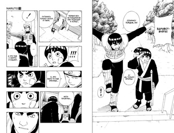 Naruto. Наруто. Книга 5