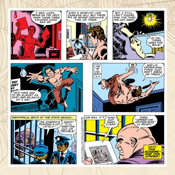 Spider-Man. Newspaper Strips. Vol. 2 HC