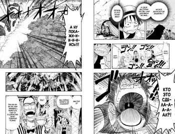 One Piece. Великий куш. Книга 5