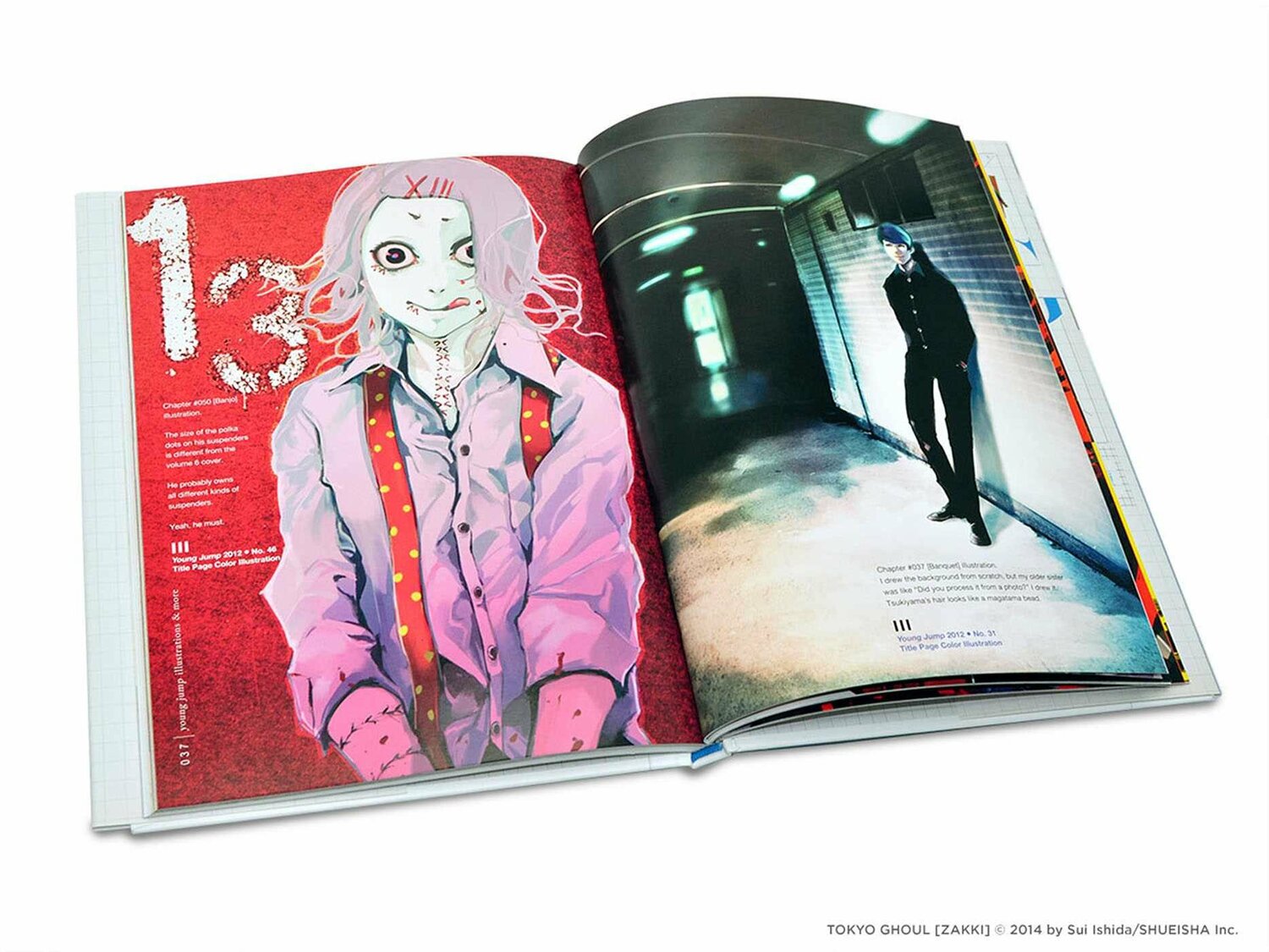 Tokyo Ghoul. Illustrations: Zakki HC