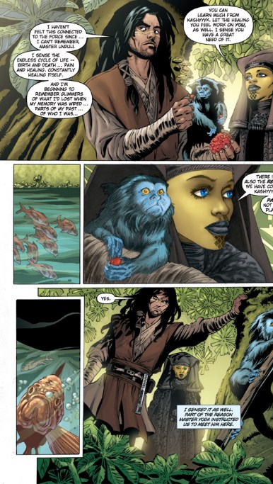 Star Wars. Clone Wars. Vol. 9: Endgame TPB