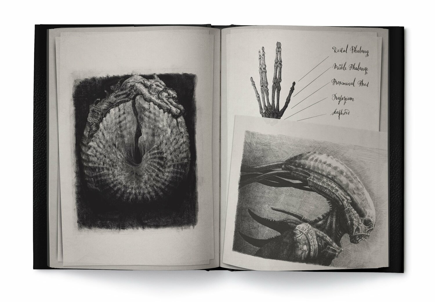 Alien Covenant: David's Drawings HC