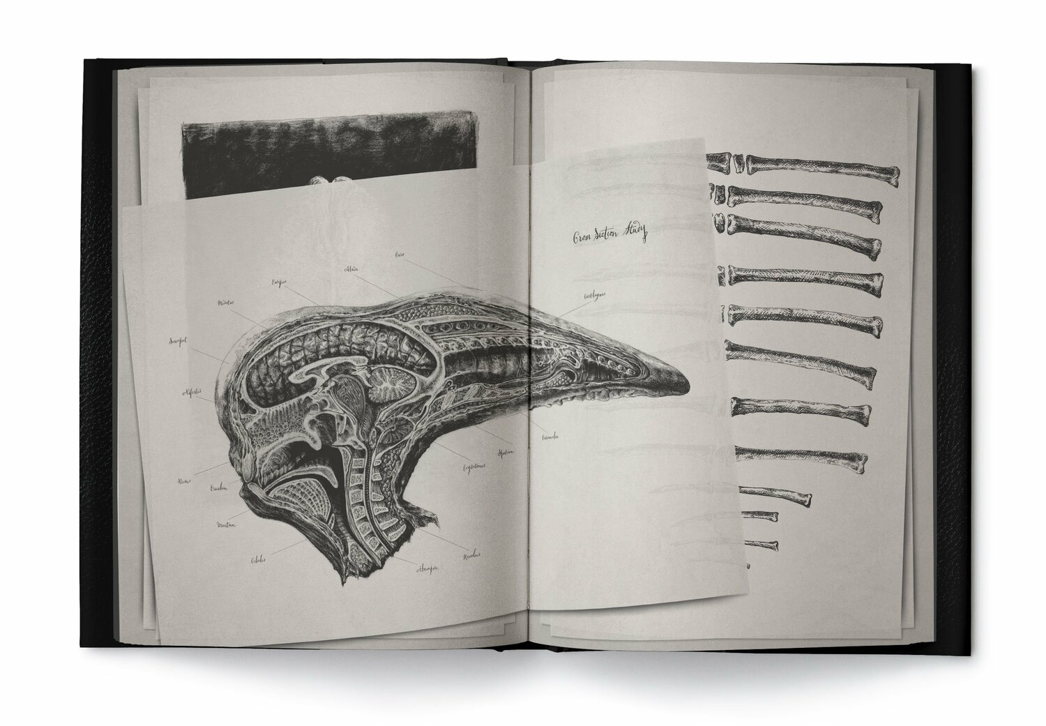 Alien Covenant: David's Drawings HC