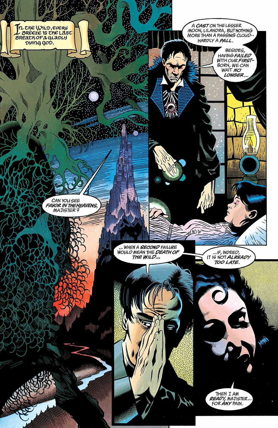 Batman. Dark Joker. The Wild HC