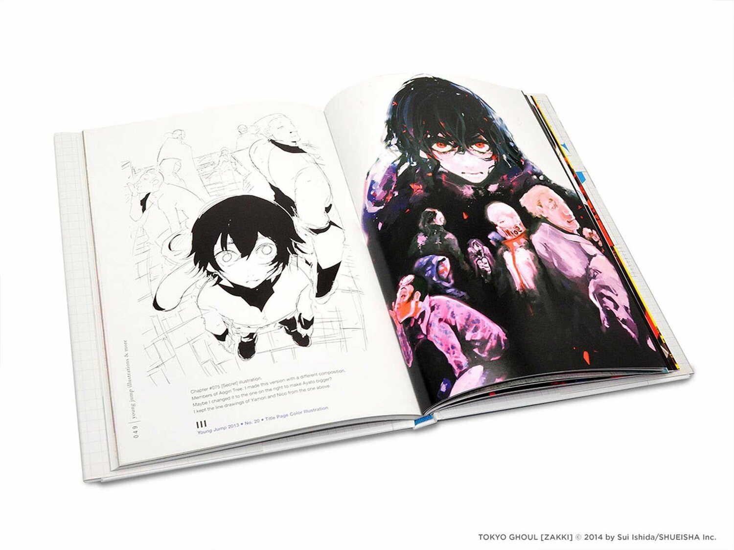 Tokyo Ghoul. Illustrations: Zakki HC
